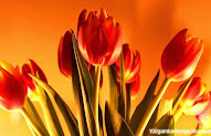 Koleksi Terpopuler Ciri-ciri Bunga Tulip
